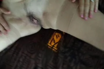 Bố quan hệ tình dục với con gái khiến con gái mất tập trung phim sex ko che moi khi dọn dẹp