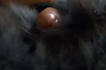 Em phim ditnhaukhongche gái mắt nâu bú cặc anh trai ngon lành không dứt ra được.